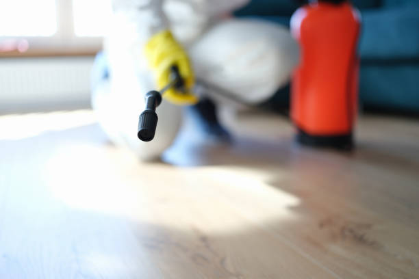 Reliable Shepherdstown, WV Mold Removal Solutions